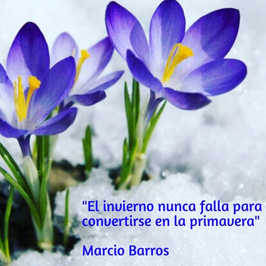 Marcio. Barros 